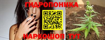 apvp Брянск