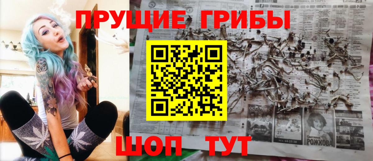 Псилоцибиновые грибы Cubensis  Галлюциногенные грибы Psilocybine cubensis  Борзя  Вход с VPN 