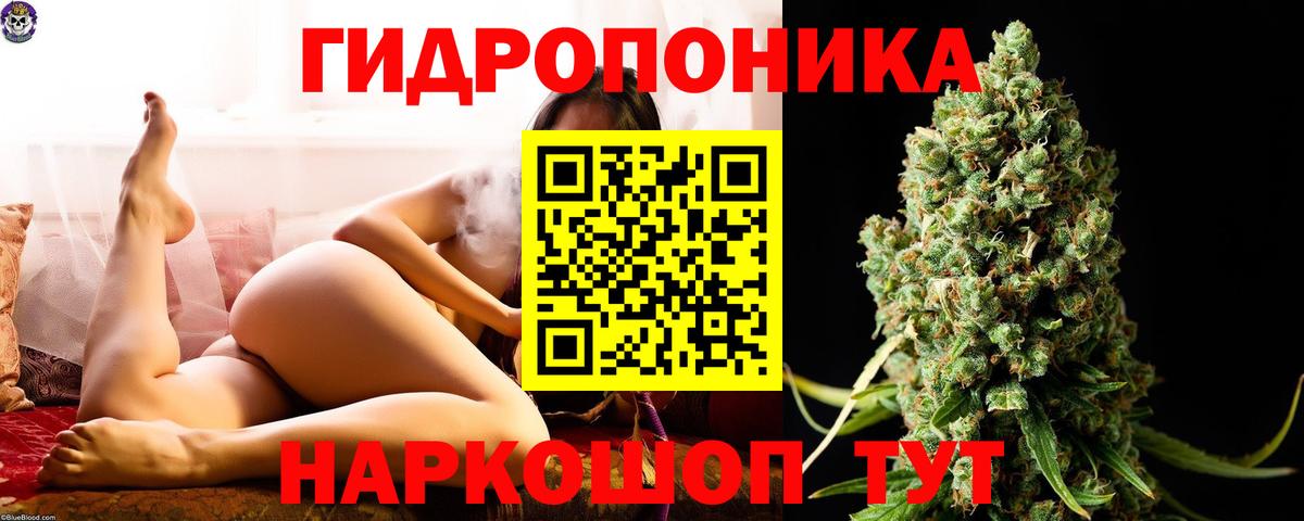 Конопля индика  Конопля LSD WEED  Конопля сатива  Вход с VPN  Марихуана Bruce Banner  Борзя 